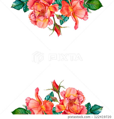 Botanical frame with red rose flowers, leaves and buds. Hand painted watercolor illustration on isolated background. Blank postcard with space for text. For summer floral design, wedding invitation. 122419720