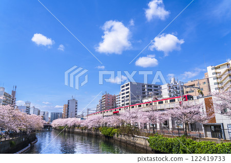 Spring scenery of the Ooka River with a clear blue sky - Keikyu Line running along the river with cherry blossoms in bloom [Yokohama City, Kanagawa Prefecture] 122419733