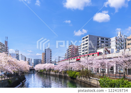 大岡川的春天景色，櫻花映襯著藍天，京急線沿河行駛[神奈川縣、橫濱市] 122419734
