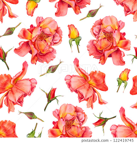 Seamless pattern with red blooming roses and buds on white background. Hand drawn botanical illustration of flowers in vibrant colors for Valentine's Day textile, packaging design, invitations, cards. Seamless pattern with red blooming roses and buds on white background. Hand drawn botanical illustration of flowers in vibrant colors for Valentine's Day textile, packaging design, invitations, cards. 122419745