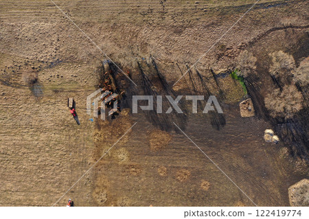 Flying above grazing cows on a farmland, tree shadows on meadow, aerial view Flying above grazing cows on a farmland, tree shadows on meadow, aerial view 122419774