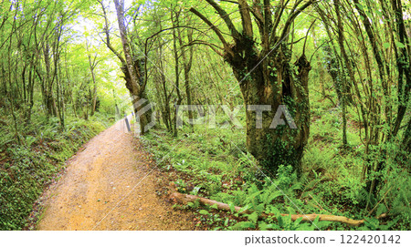 Aizkorri Natural Park, Spain 122420142