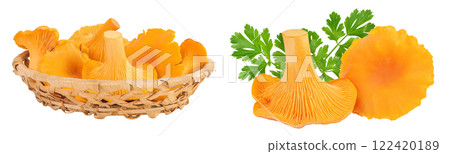 Chanterelle mushrooms in a wicker basket isolated on a white background 122420189