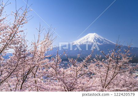 Spectacular view of Arakurayama Sengen Park in spring: Cherry blossoms in full bloom and Mt. Fuji [Fujiyoshida City, Yamanashi Prefecture] 122420579