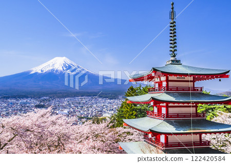 A spectacular spring view from the observation deck of Arakurayama Sengen Park: Mt. Fuji, cherry blossoms in full bloom, and the Chureito Pagoda [Fujiyoshida City, Yamanashi Prefecture] 122420584