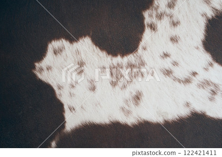 Cowhide leather pattern with a natural print in the form of animal skin spots on a white background. The texture of mammalian fur. Leather design elements. With space to copy. High quality photo 122421411