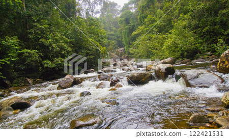 Forest River, Sinharaja National Park Rain Forest, Sri Lanka Forest River, Sinharaja National Park Rain Forest, Sri Lanka 122421531