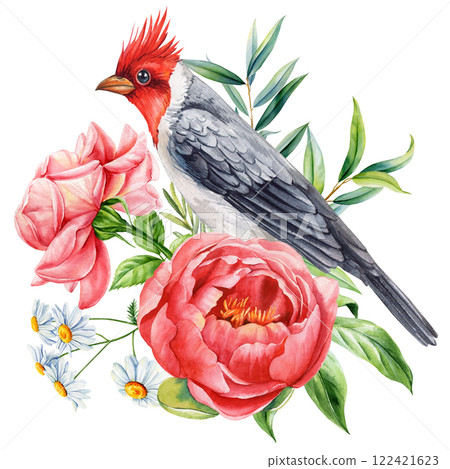 Watercolor red-crested cardinal bird peony, roses, daisies. Botanical illustration, hand-painted exotic bird flowers art 122421623