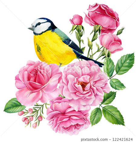 watercolor blue tit bird pink roses, floral botanical hand-painted nature illustration, vibrant spring flowers isolated watercolor blue tit bird pink roses, floral botanical hand-painted nature illustration, vibrant spring flowers isolated 122421624
