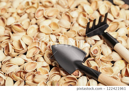 Pistachio Shells. Gardening. Mulching Soil. Care Houseplant Pistachio Shells. Gardening. Mulching Soil. Care Houseplant 122421961