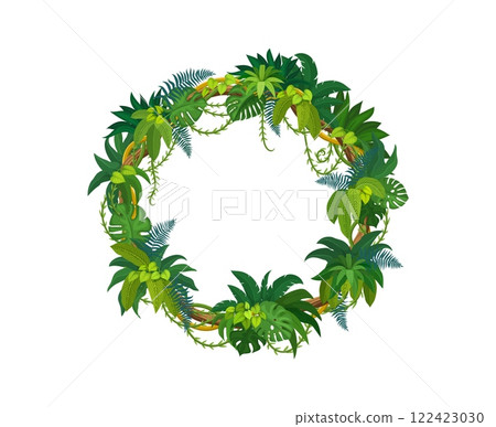 Tropical jungle frames, rain forest liana branches and leaves. Tropical forest shrub twig design element. Jungle liana or ivy branches isolated vector circle frame or creeper plant floral border Tropical jungle frames, rain forest liana branches and leaves. Tropical forest shrub twig design element. Jungle liana or ivy branches isolated vector circle frame or creeper plant floral border 122423030
