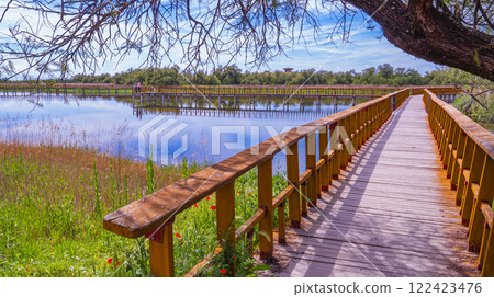 Tablas de Daimiel National Park, Spain 122423476
