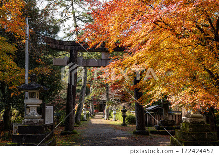 Torii gate and autumn leaves at Wakasa Shrine Torii gate and autumn leaves at Wakasa Shrine 122424452