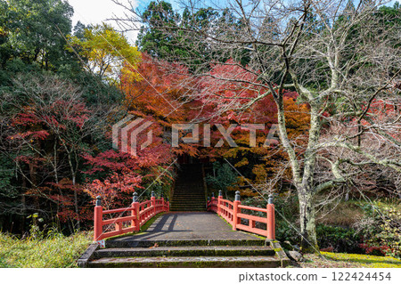 Wakasa Shrine's Vermilion Bridge and Autumn Leaves Wakasa Shrine's Vermilion Bridge and Autumn Leaves 122424454