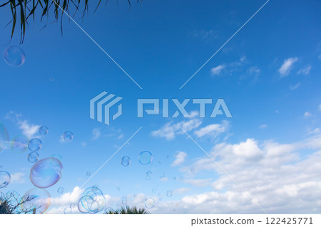 Soap bubbles floating in the blue sky of Okinawa Soap bubbles floating in the blue sky of Okinawa 122425771
