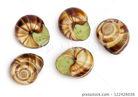 escargot snail filled with garlic and parsley butter isolated on white background. Top view. Flat lay escargot snail filled with garlic and parsley butter isolated on white background. Top view. Flat lay 122426036