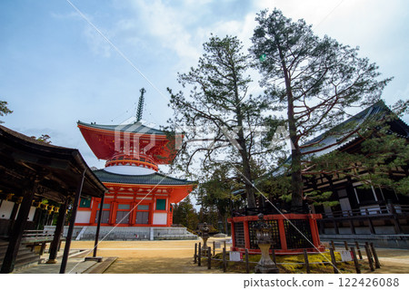 Mount Koya's Danjo Garan: The Great Pagoda and the Sanko Pine Mount Koya's Danjo Garan: The Great Pagoda and the Sanko Pine 122426088