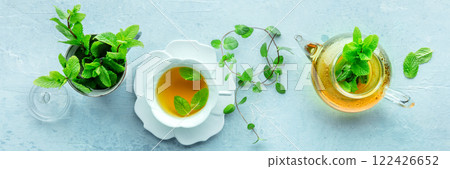 Mint tea panorama. A cup of peppermint tea with fresh mint leaves Mint tea panorama. A cup of peppermint tea with fresh mint leaves 122426652