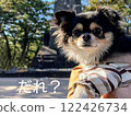 Who is this Chihuahua with a puzzled look on his face? 122426734