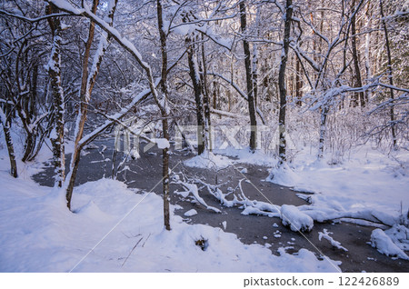 Frozen Swamp [Nagano Prefecture] 122426889
