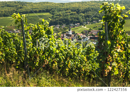 Village and vineyards in Markgraeflerland near Freiburg im Breisgau, Germany Village and vineyards in Markgraeflerland near Freiburg im Breisgau, Germany 122427356