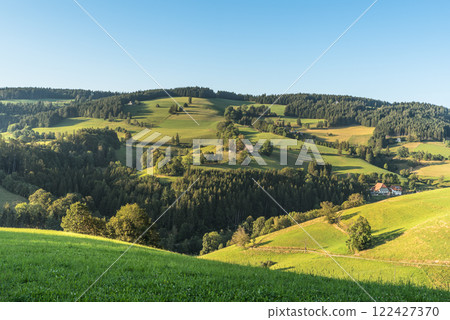 Hilly landscape of the Black Forest in Germany Hilly landscape of the Black Forest in Germany 122427370