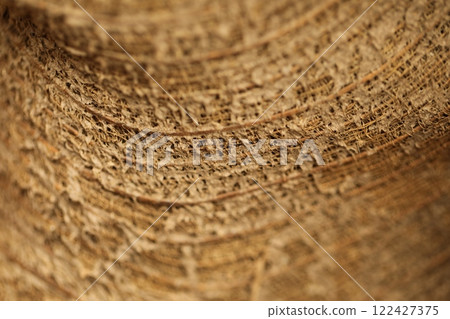 Toddy palm Tree Dry Skin texture Toddy palm Tree Dry Skin texture 122427375