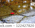 Autumn leaves floating on the river 122427820