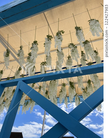 White flowers hanging from a canopy against a blue sky White flowers hanging from a canopy against a blue sky 122427983