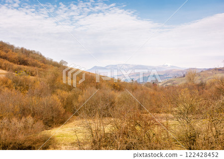 countryside scenery in march. natural environment. cloudy weather. forested carpathian mountain landscape in early spring. pikui peak of watershed ridge in the distance. season change 122428452