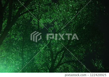 Night Horror effect shot of tree 122428925