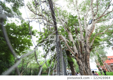 Abstract Metal Fence at Jail wall 122428964