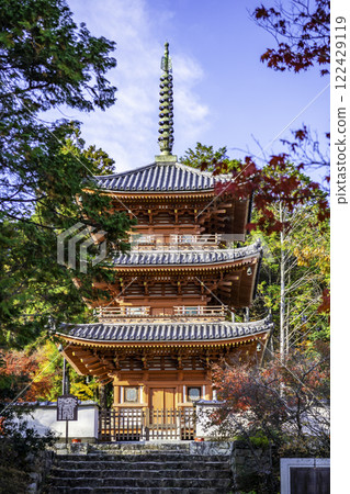 岡山縣總社市伊山報福寺三層塔 122429119