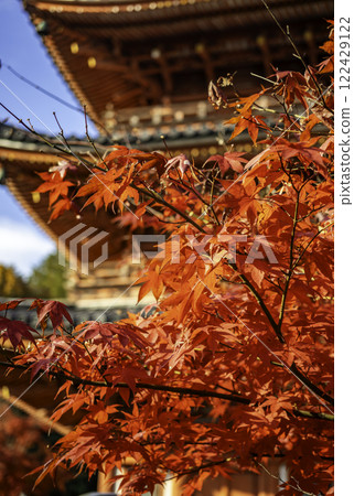 Iyama Houfukuji Temple, Three-story Pagoda, Soja City, Okayama Prefecture 122429122
