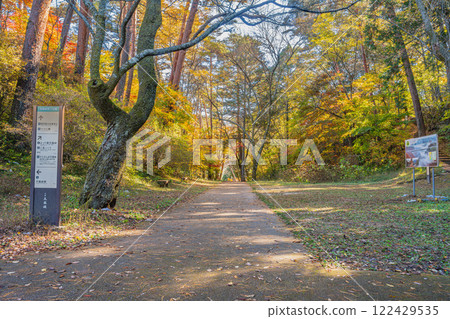 The scenic Tenryukyo Gorge in Iida City, Nagano Prefecture, is covered in autumn leaves 122429535