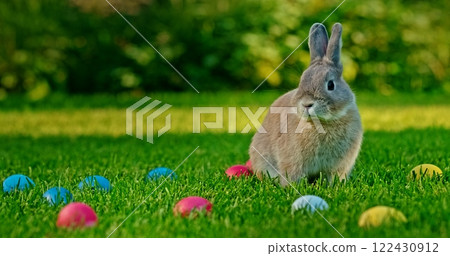 Gray rabbit standing among colorful Easter eggs scattered across fresh green grass, with a soft blurred background of greenery and trees. Gray rabbit standing among colorful Easter eggs scattered across fresh green grass, with a soft blurred background of greenery and trees. 122430912