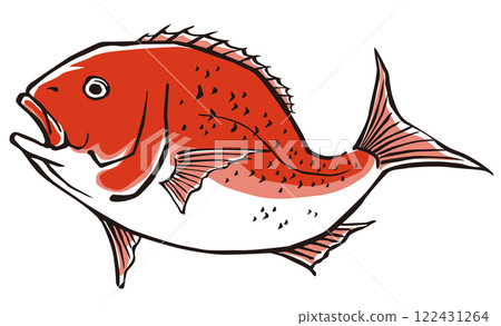 Sea bream, red sea bream, red sea bream, sea bream illustration material 122431264
