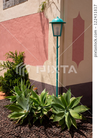 Agave plants and a street lamp, Madeira, Portugal 122431817