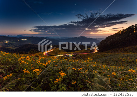 Sunset over Tree Marigold field and light trail on hill in countryside at Doi Mae U Kho, Mae Hong Son Sunset over Tree Marigold field and light trail on hill in countryside at Doi Mae U Kho, Mae Hong Son 122432553