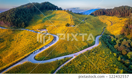 View of Tree Marigold field blooming and winding road on hill in the evening 122432557