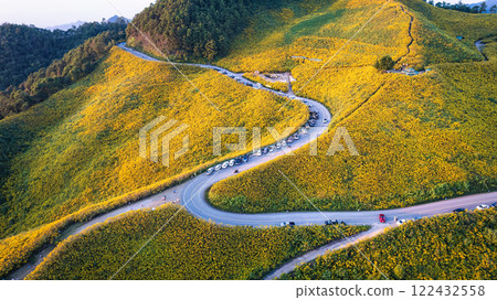 View of Tree Marigold field blooming and winding road on hill in the evening View of Tree Marigold field blooming and winding road on hill in the evening 122432558