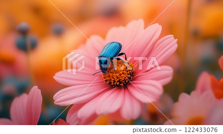 A blue beetle perched on a pastel flower in a field of colorful blooms 122433076