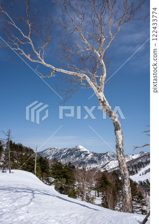 冬季的志賀高原 - 岩洲山 122433774