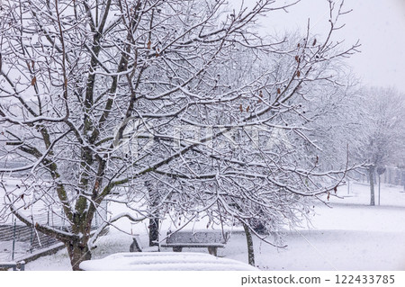 Snow covered trees in serene winter landscape. World Snow Day. 122433785