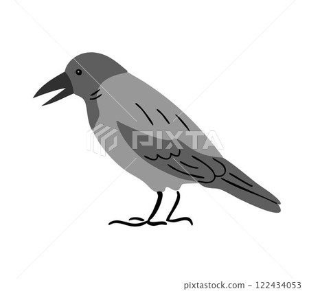City bird hooded crow on white background City bird hooded crow on white background 122434053