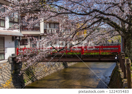 城崎溫泉的櫻花 - 櫻花橋附近 - （兵庫縣 - 城崎溫泉） 122435483