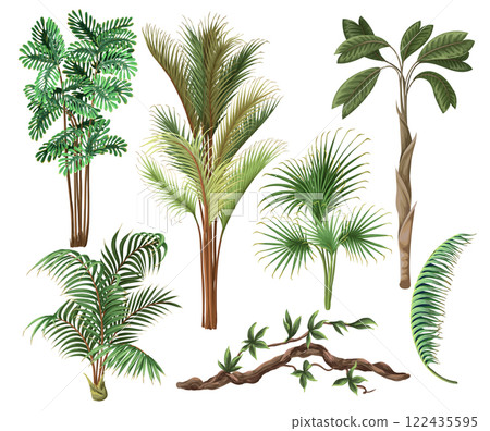 Different palm trees isolated. Tropical vector. 122435595