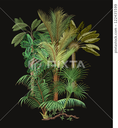 Different palm trees isolated. Tropical vector. 122435599