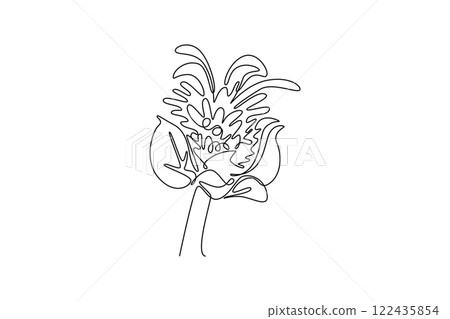 Single one line drawing beauty fresh bergamot monarda for home decor wall art poster print. Decorative bee balm flower for greeting card. Modern continuous line draw design graphic vector illustration 122435854