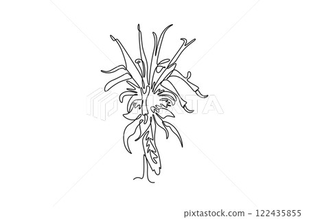 Continuous one line drawing beauty fresh monarda for garden logo. Decorative horsemint oswago tea flower concept for floral invitation card frame. Single line draw design vector graphic illustration 122435855